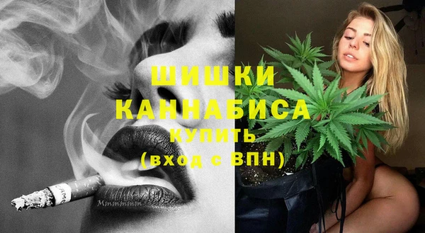 сатива Баксан