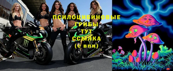 сатива Баксан