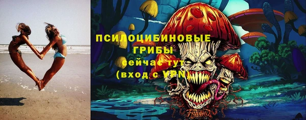 сатива Баксан