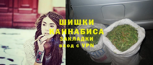 сатива Баксан